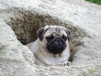 /album/fotogaleria/dsc03155-jpg/