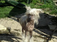 /album/fotogaleria/dsc05131-jpg1/