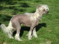 /album/fotogaleria/dsc05134-jpg1/