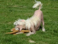 /album/fotogaleria/dsc05176-jpg1/