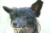 /album/fotogaleria/mm-jpg/