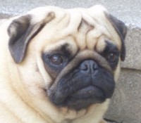 /album/fotogaleria/mmm-jpg/