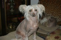 /album/fotogaleria/dsc02745-jpg/