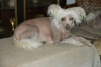 /album/fotogaleria/dsc02746-jpg/