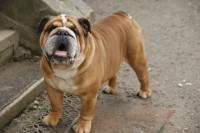 /album/fotogaleria/dsc02772-jpg/